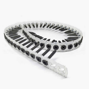 collated drywall screw